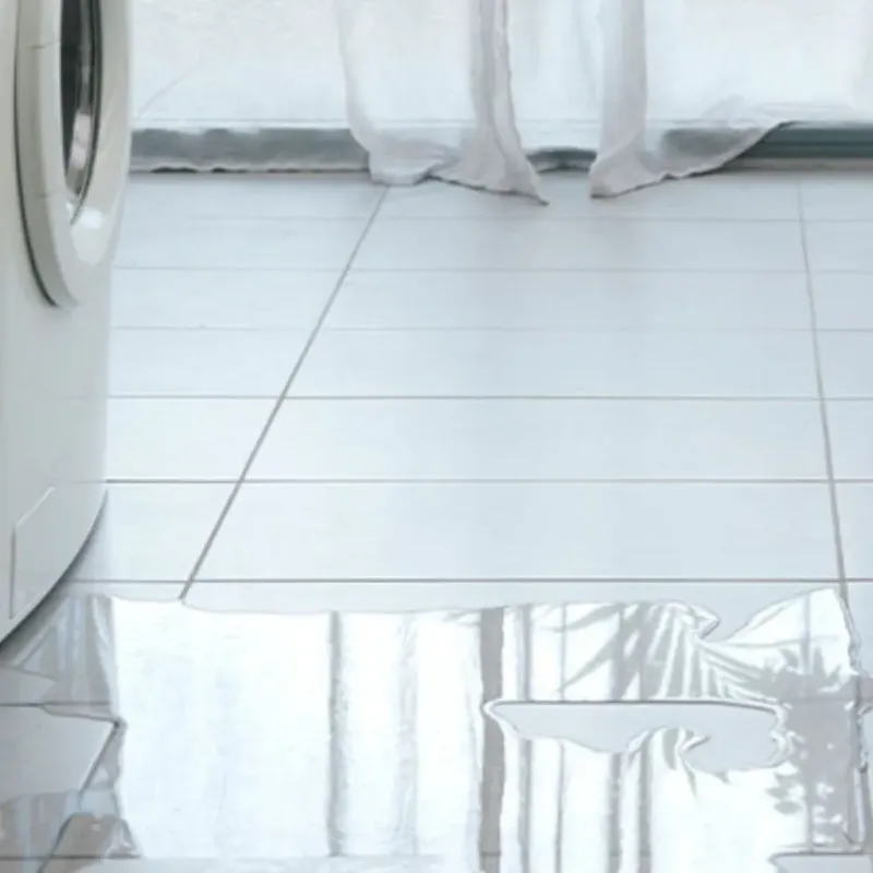 Appliance Leak Cleanup in Holland, MA