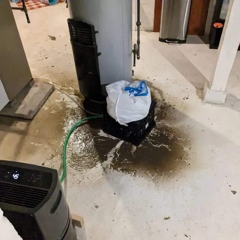 Sewage Backup Cleanup Service in Holland, MA